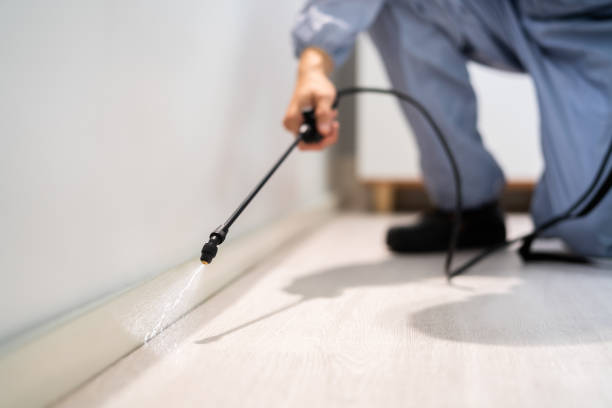 Licensed Pest Control service in Latimer, MS - Show Me Pest Control