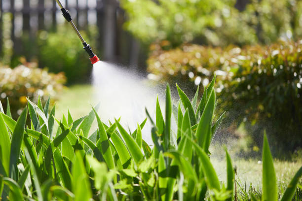 24/7 Emergency Mosquito Control experts in Latimer, MS